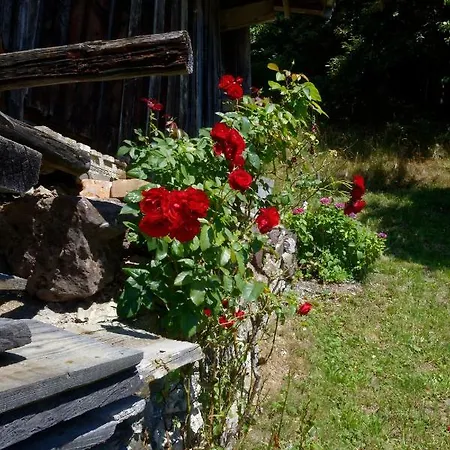 Tenne Bartholomäberg